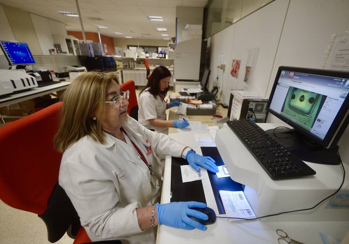 Una profesional analiza muestras en el Centro de Bioquímica y Genética Clínica, en La Arrixaca.