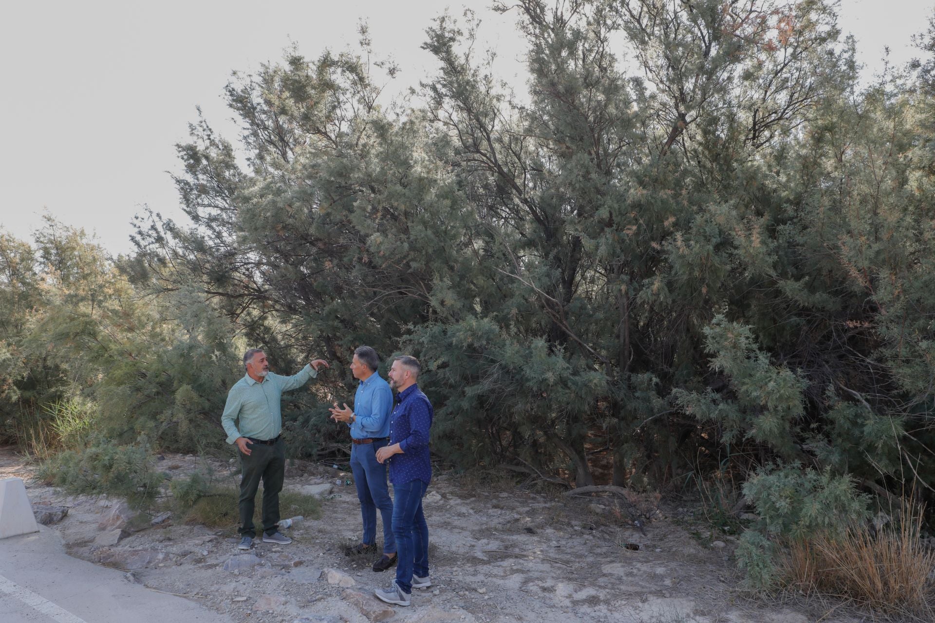 El alcalde y los concejales de Emergencias y Pedanías, en el cauce del río repleto de maleza.