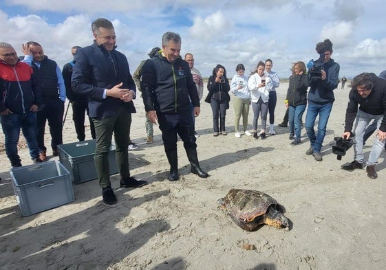 El consejero de Medio Ambiente, Juan María Vázquez, junto con el alcalde de San Pedro del Pinatar, libera uno de los ejemplares.