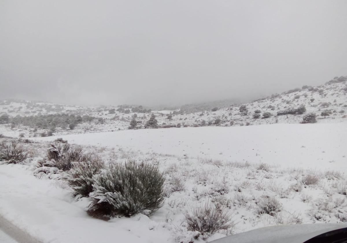 Paisaje nevado, este domingo, en Cañada de la Cruz.