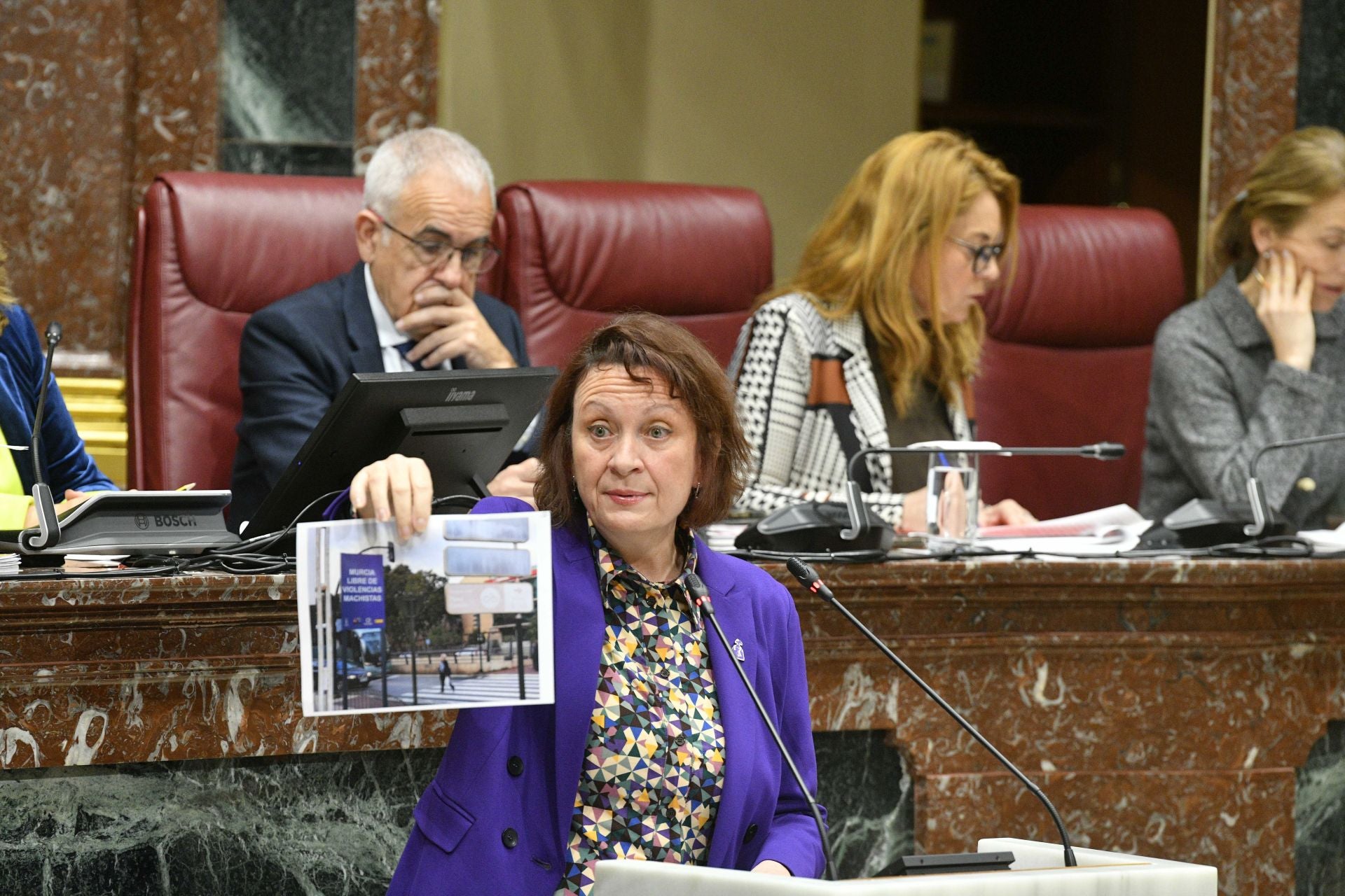 En imágenes, el Pleno de la Asamblea