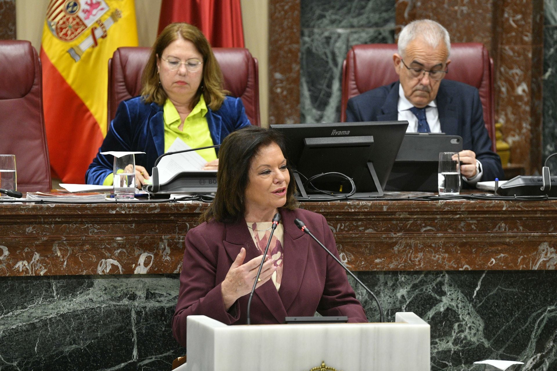 En imágenes, el Pleno de la Asamblea