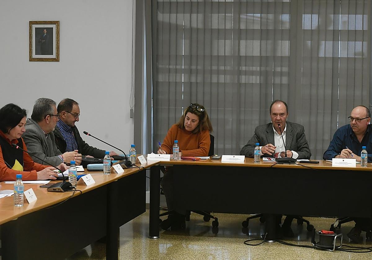 La reunión de la Mesa Regional del Vino, donde se han anunciado las ayudas para la 'cosecha en verde' 2025.