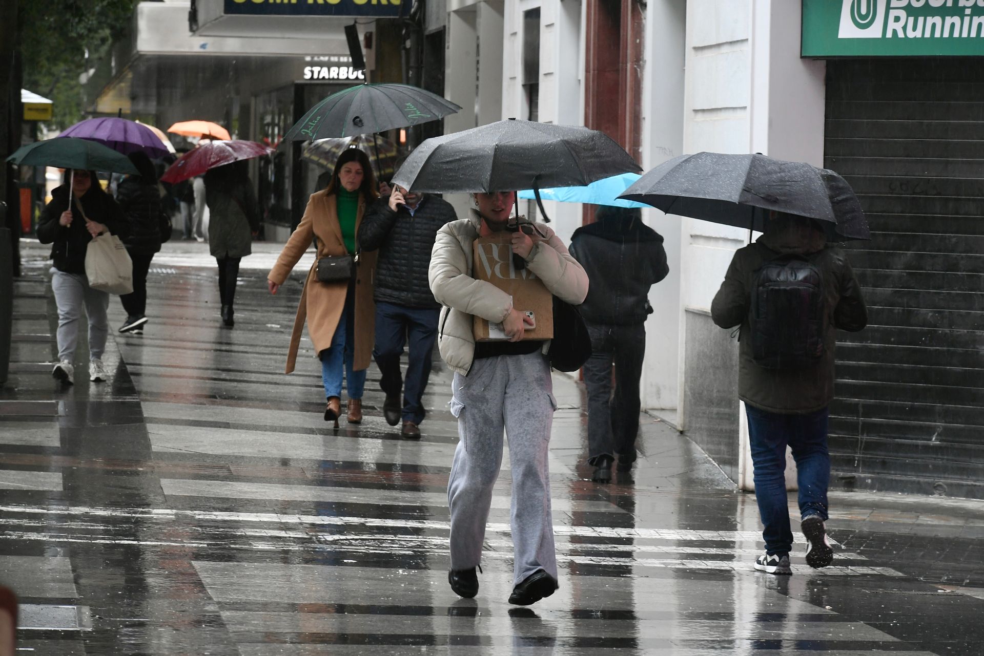 Los efectos del temporal de lluvia en la Región de Murcia, en imágenes