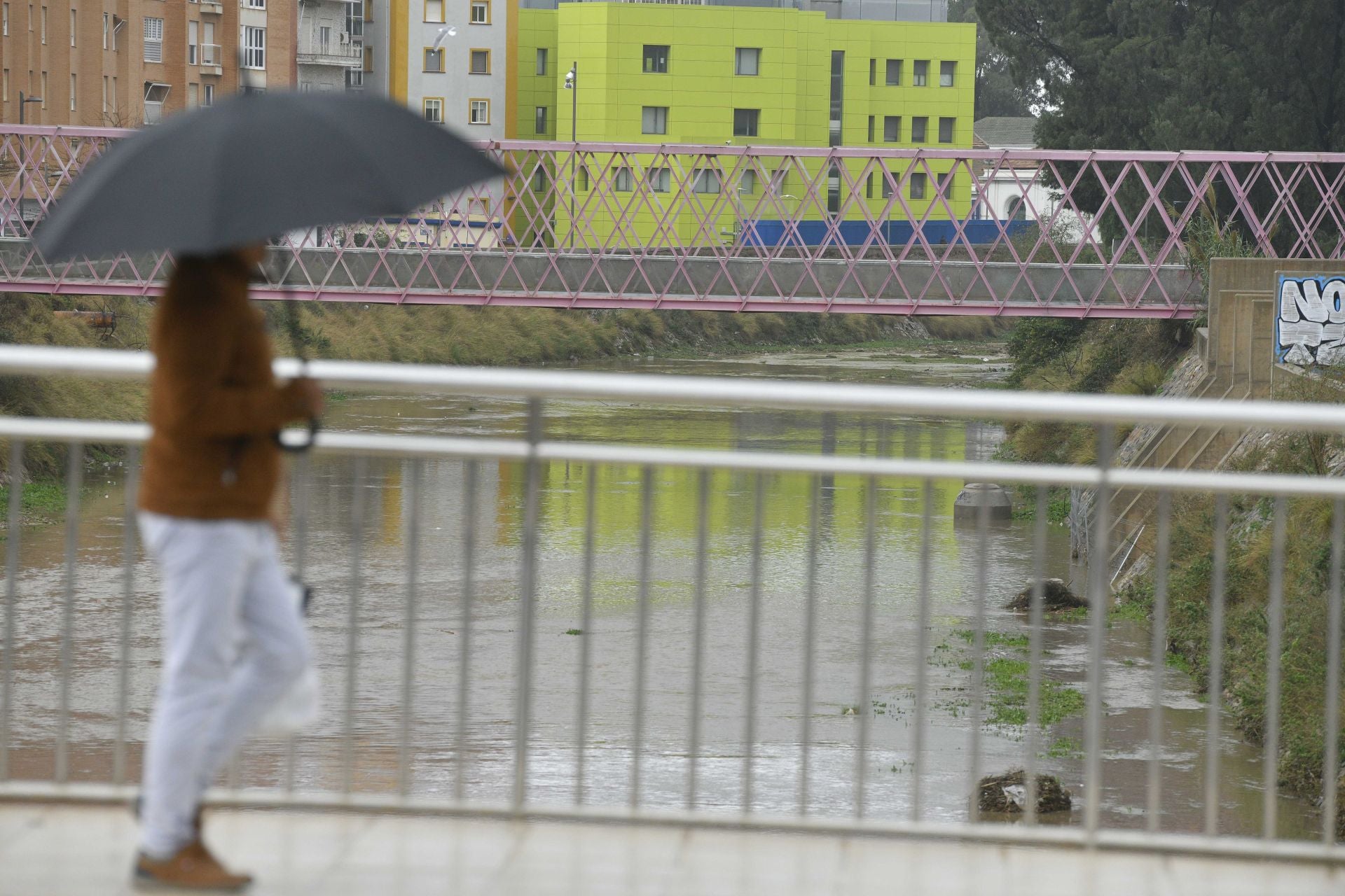 Los efectos del temporal de lluvia en la Región de Murcia, en imágenes