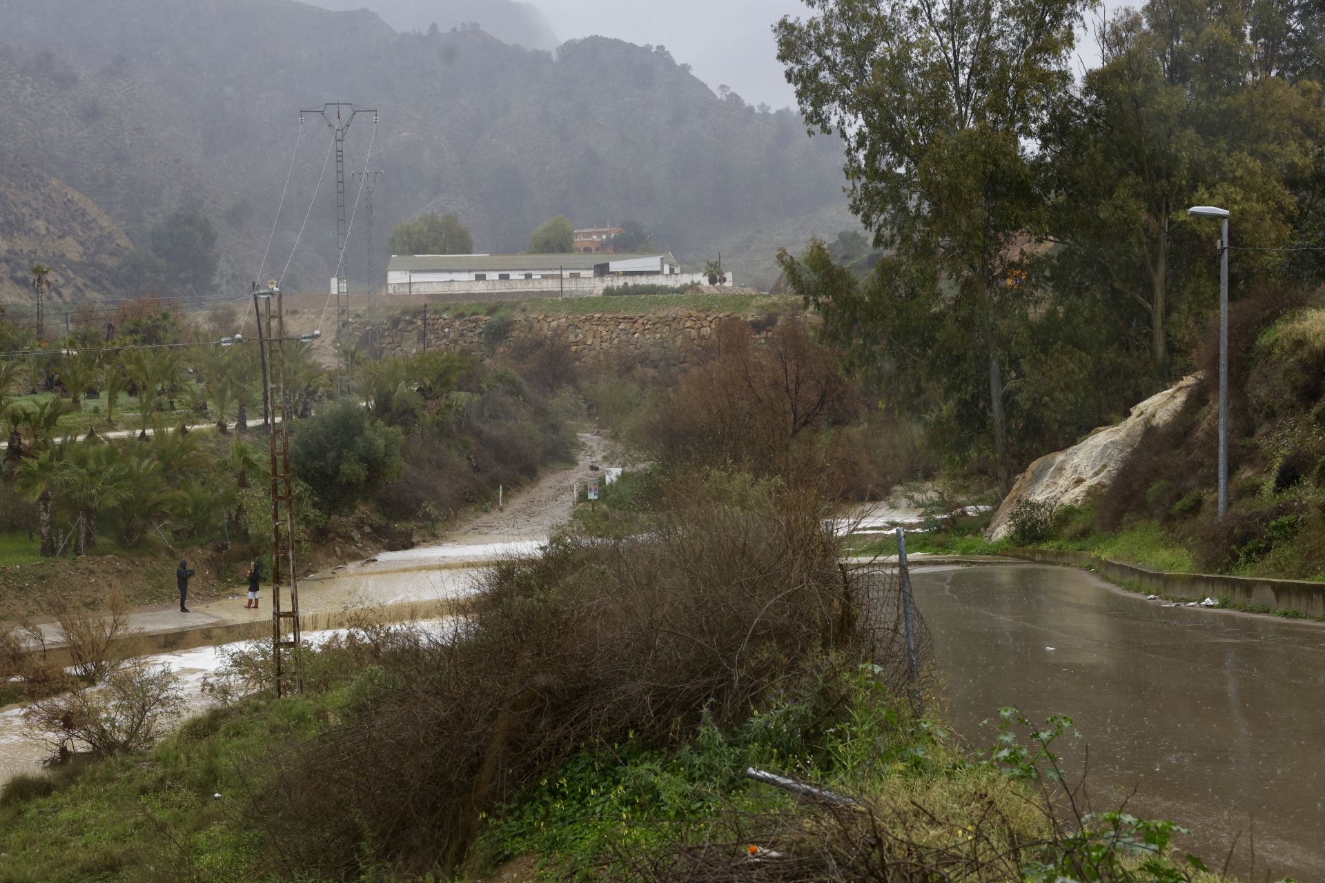 Los efectos del temporal de lluvia en la Región de Murcia, en imágenes