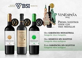 Vinos premiados en el certamen VinEspaña 2025.