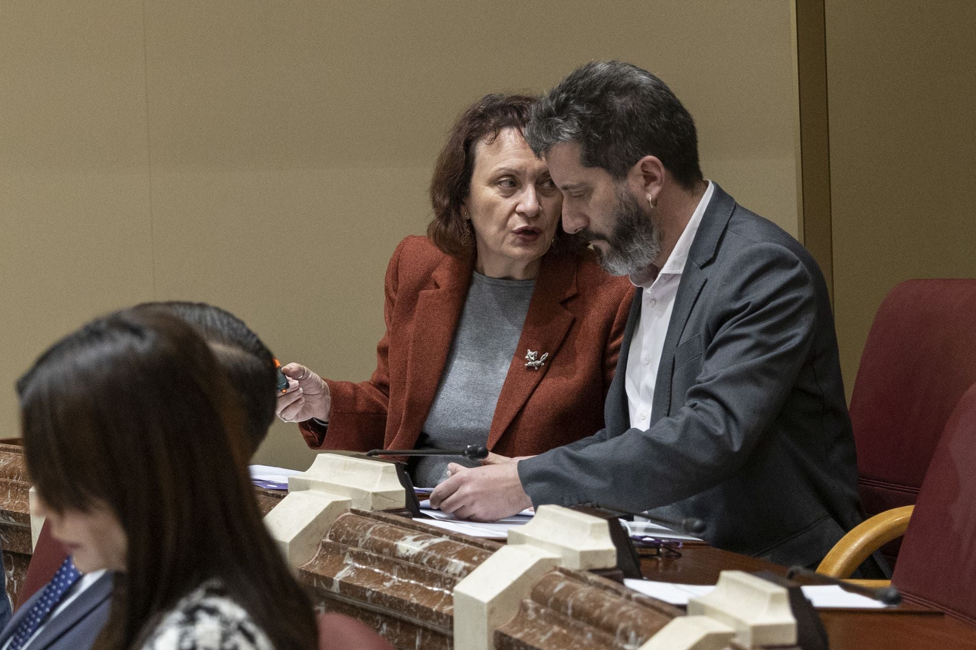 El Pleno de la Asamblea Regional de este viernes, en imágenes