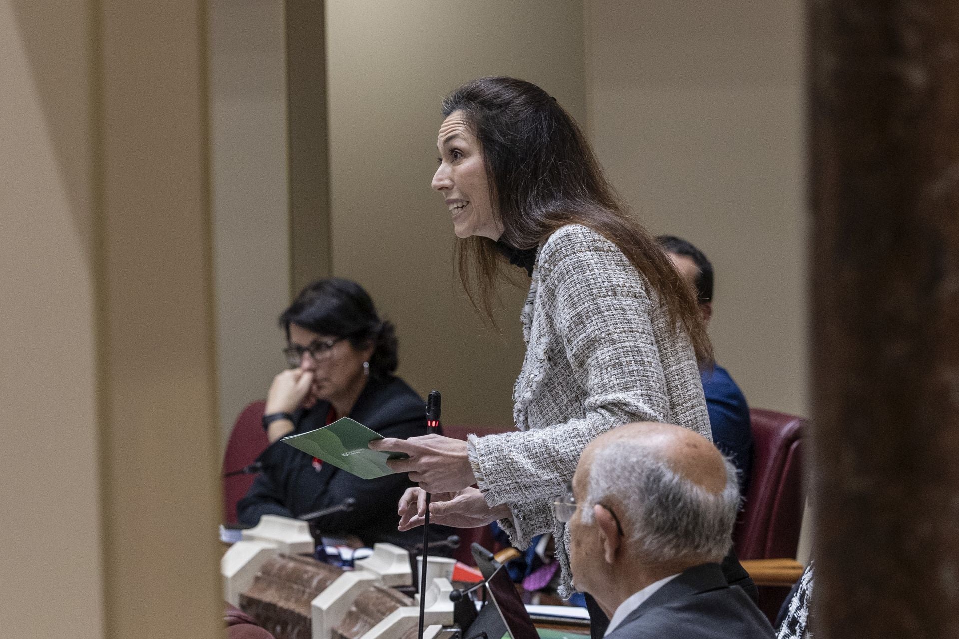 El Pleno de la Asamblea Regional de este viernes, en imágenes