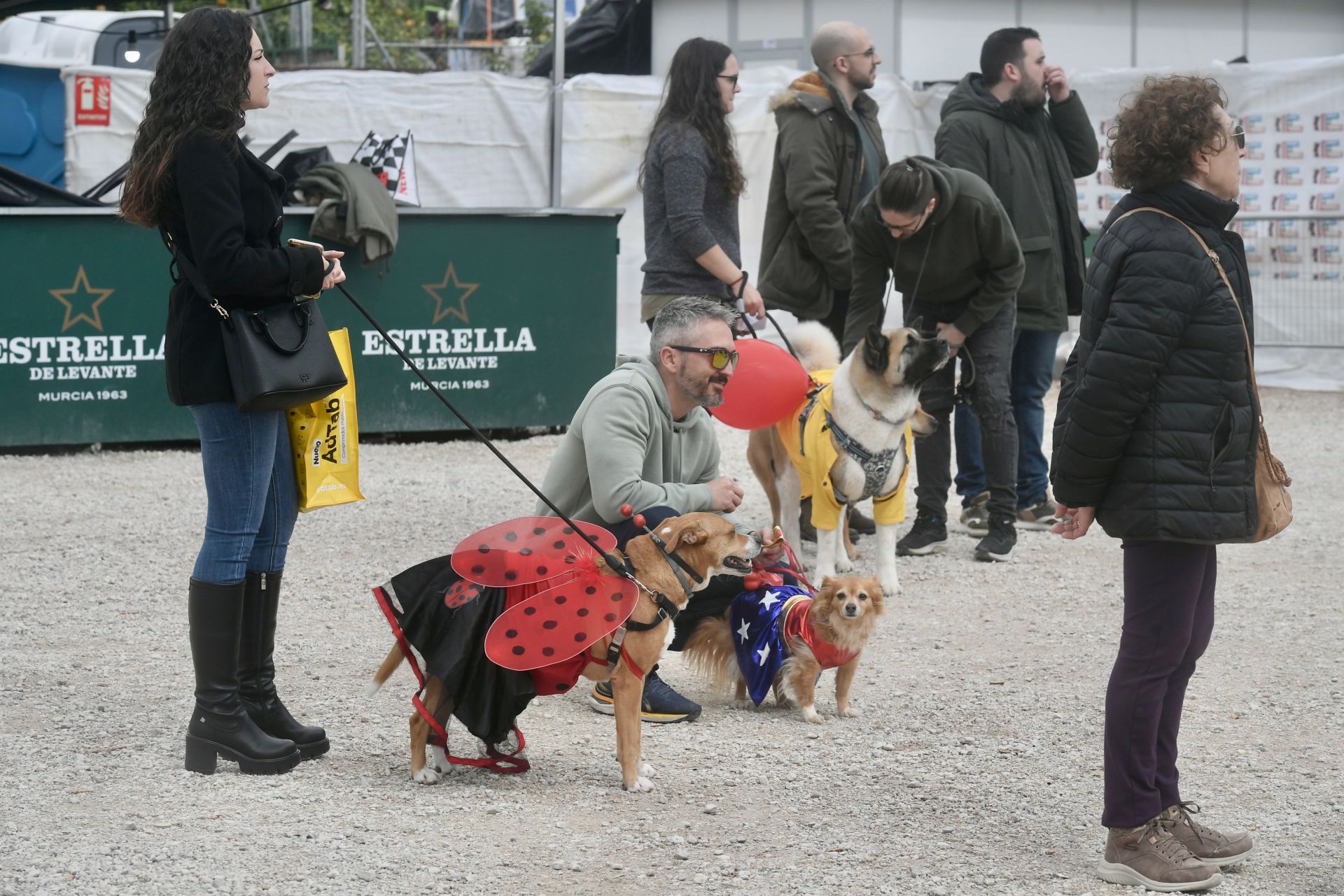 El Carnaval de mascotas de Cabezo de Torres, en imágenes