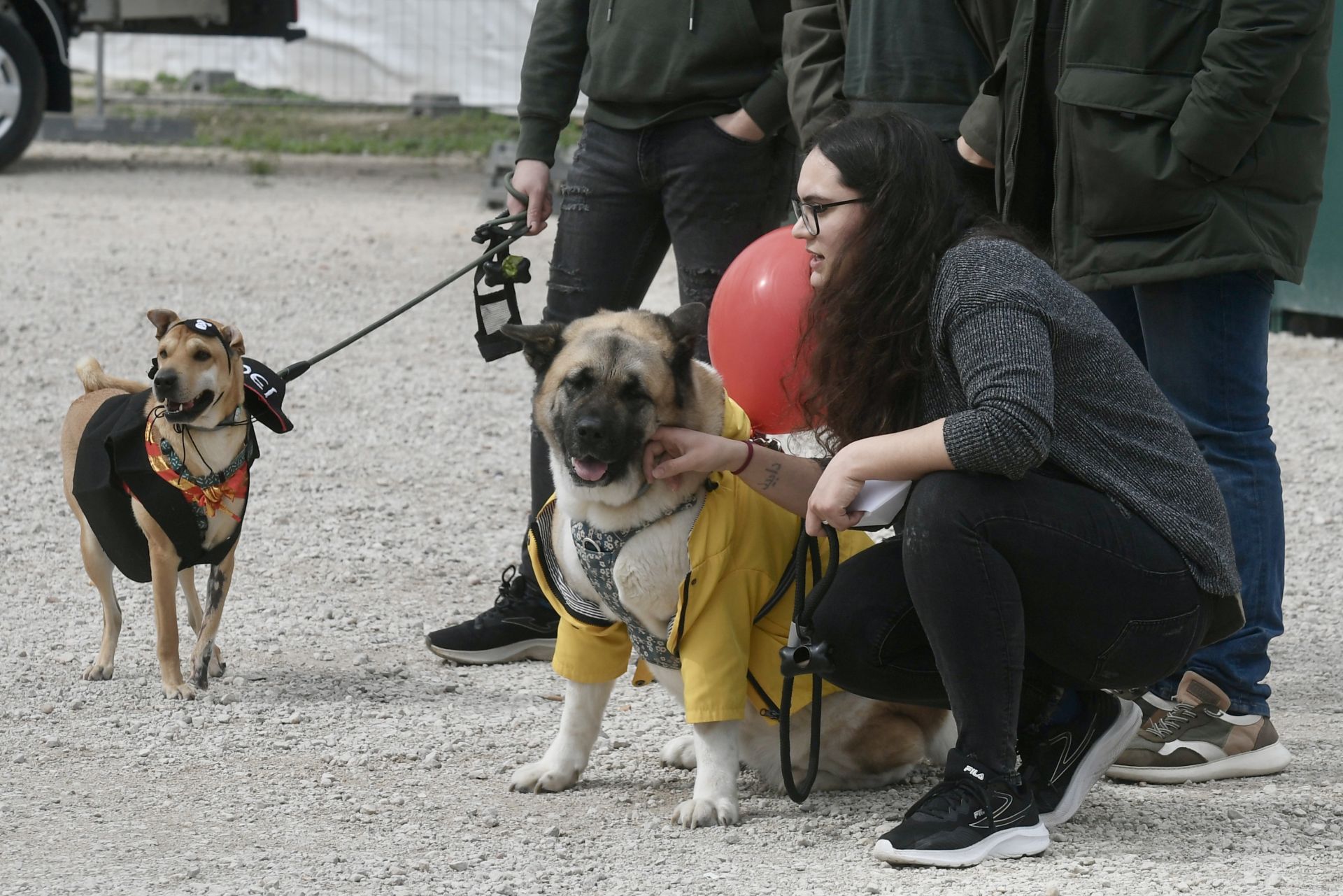 El Carnaval de mascotas de Cabezo de Torres, en imágenes