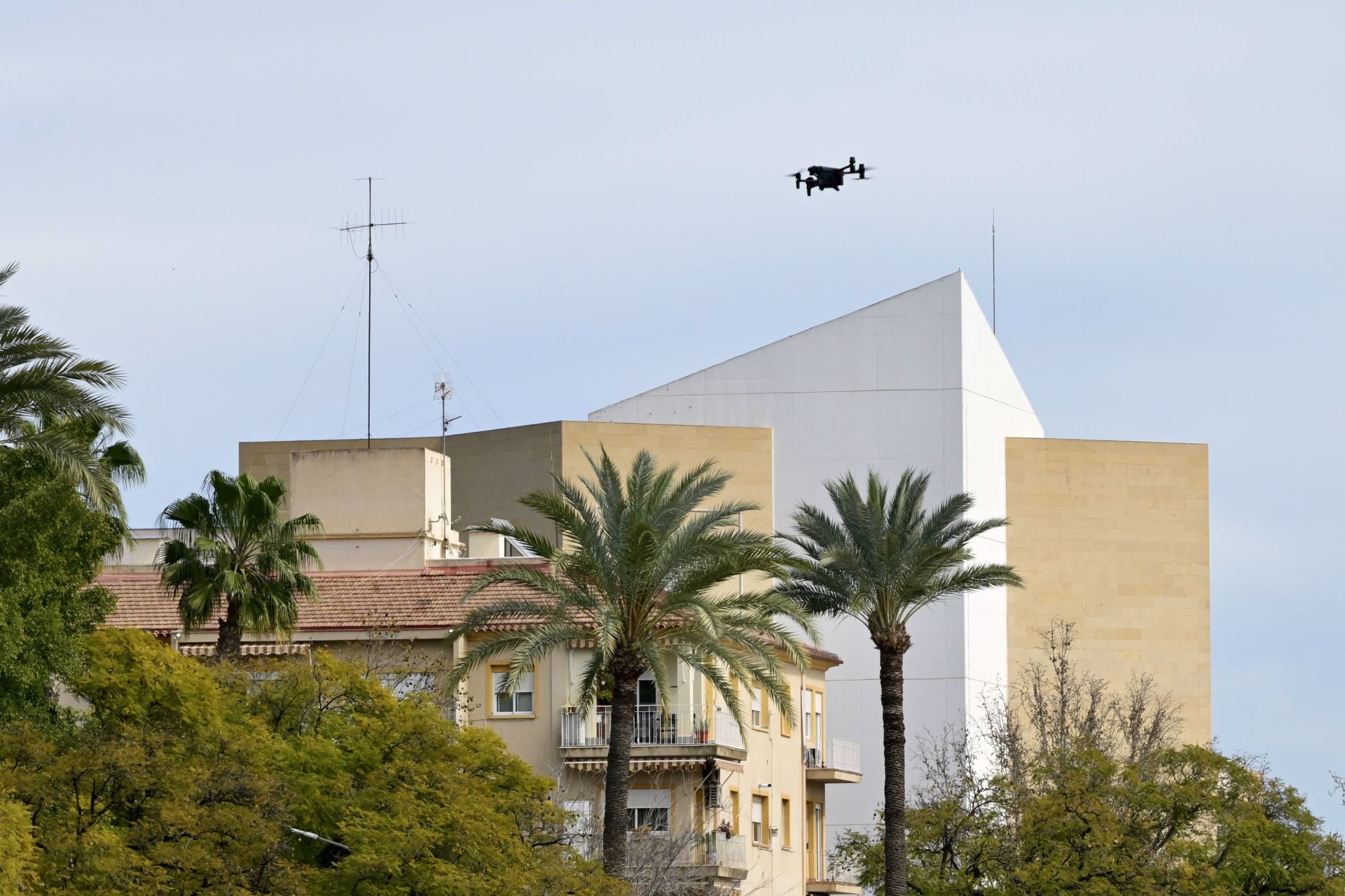 La reanudación del dispositivo de búsqueda de una persona desaparecida en el río Segura de Murcia, en imágenes