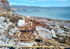 Plásticos y gomas agricolas y restos vegetales en una playa del litoral aguileño.