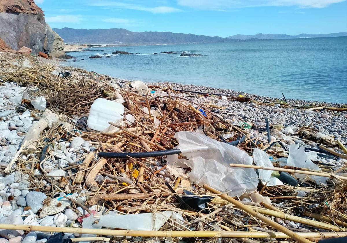 Plásticos y gomas agricolas y restos vegetales en una playa del litoral aguileño.