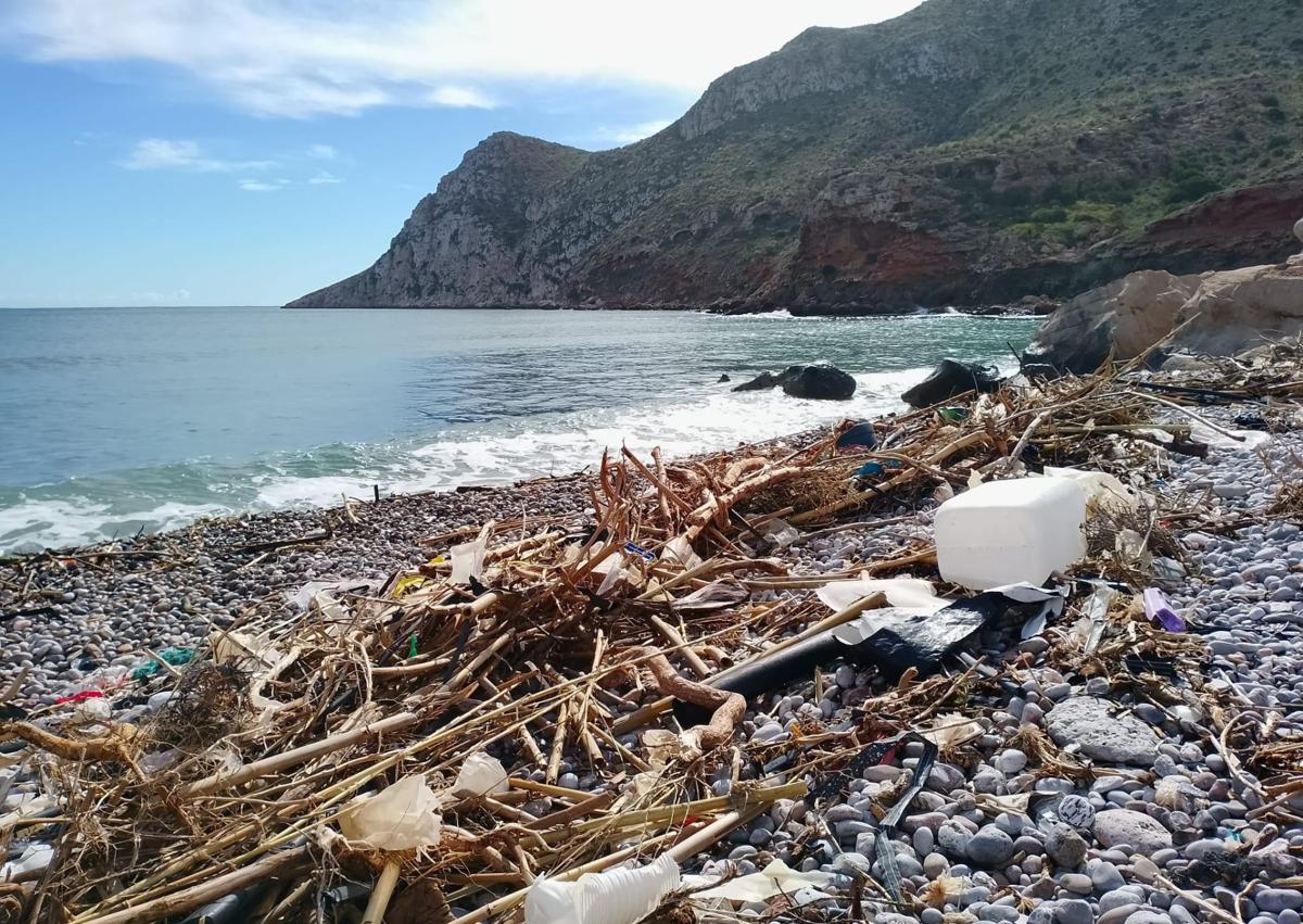 Imagen secundaria 1 - Plásticos y restos vegetales en playas del litoral aguileño.