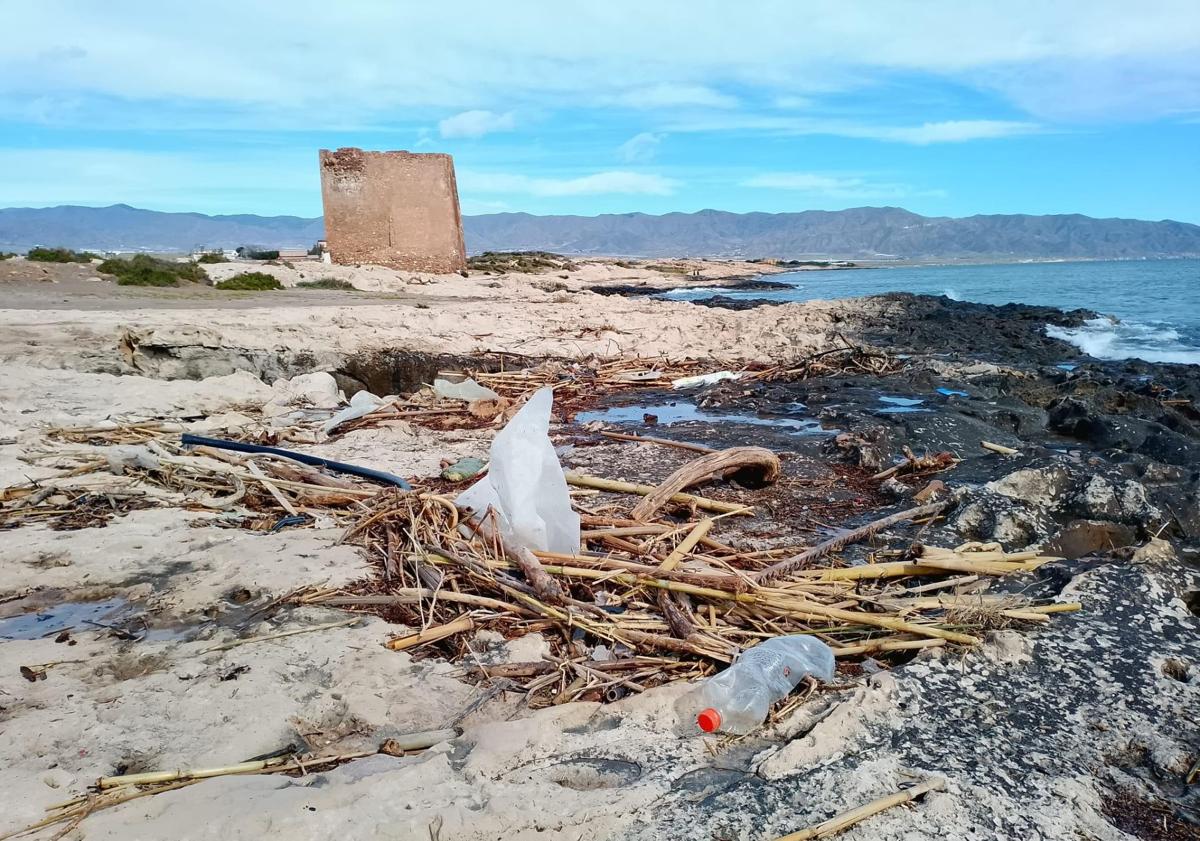 Imagen principal - Plásticos y restos vegetales en playas del litoral aguileño.