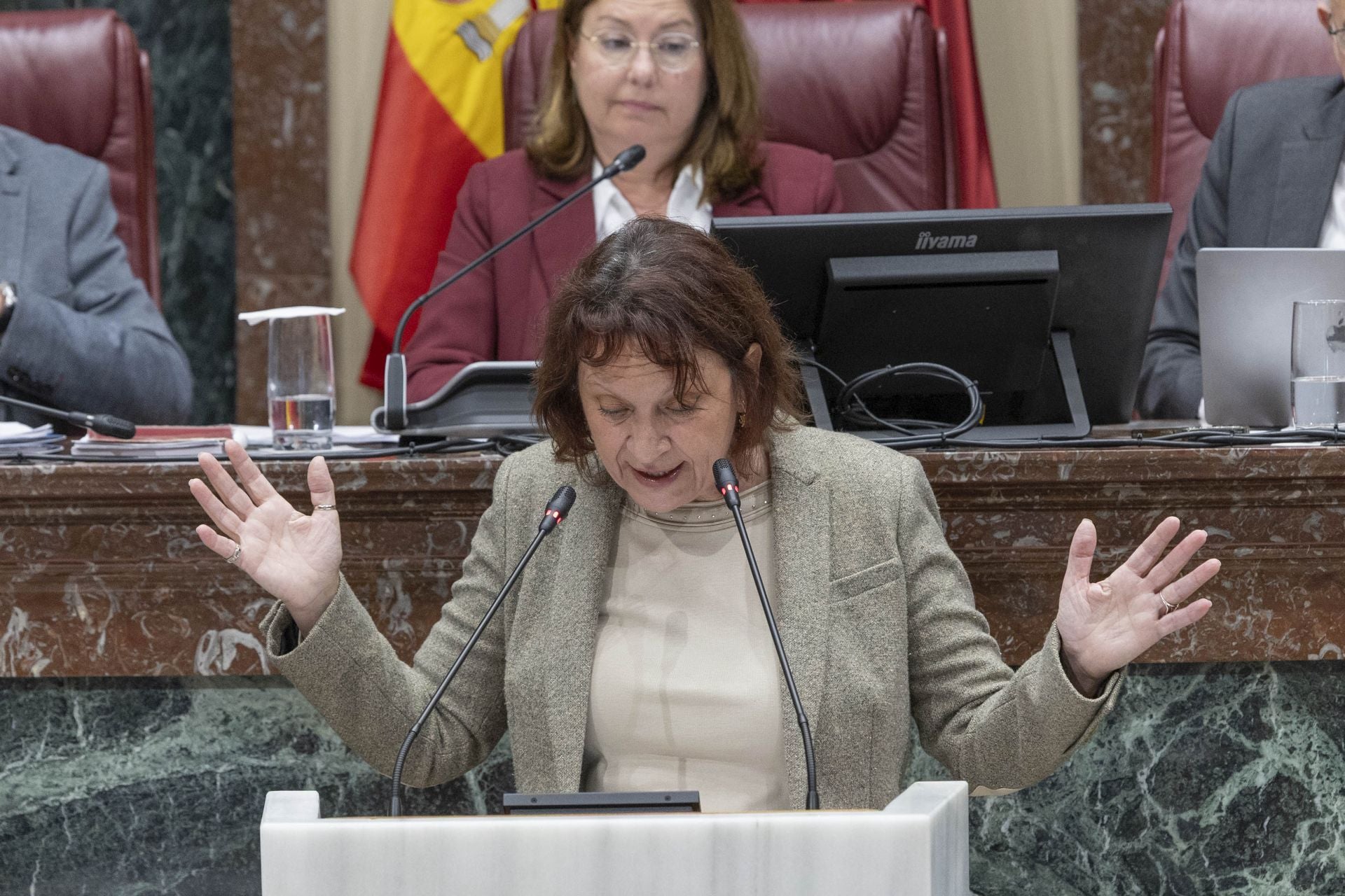 El Pleno de la Asamblea Regional de este martes, en imágenes