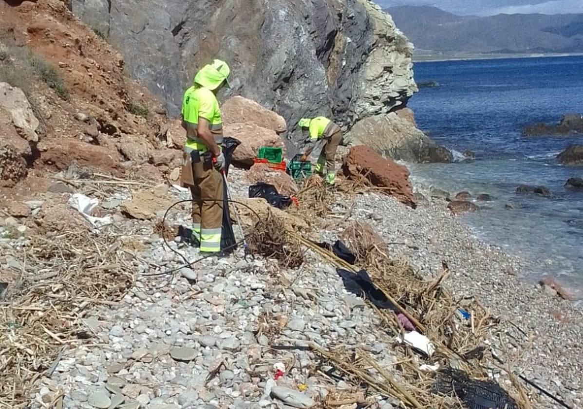 Trabajadores del servicio de limpieza recogen residuos de las playas.