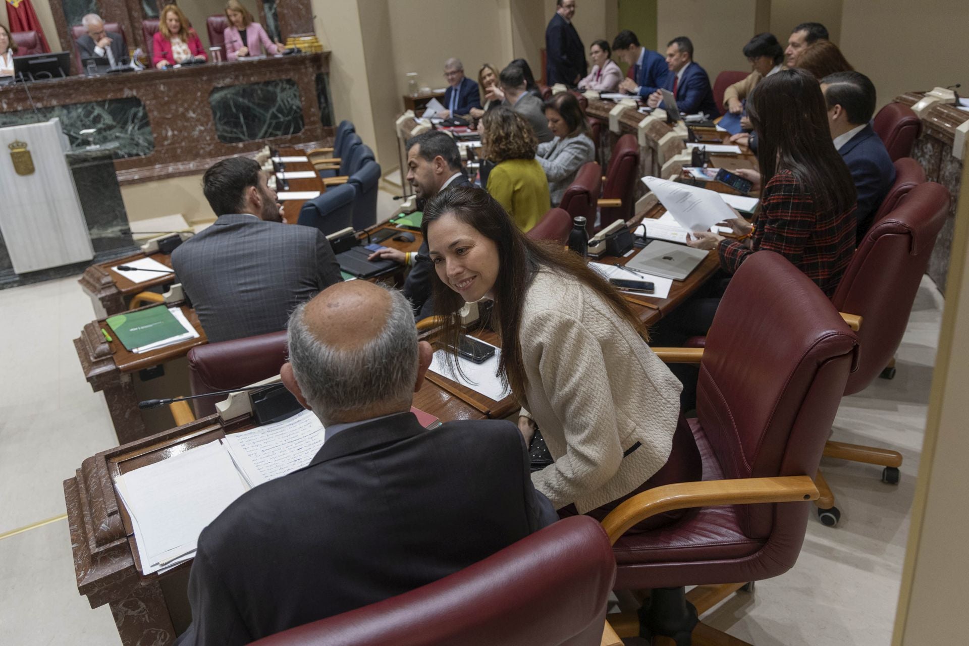 El Pleno de la Asamblea Regional de este martes, en imágenes