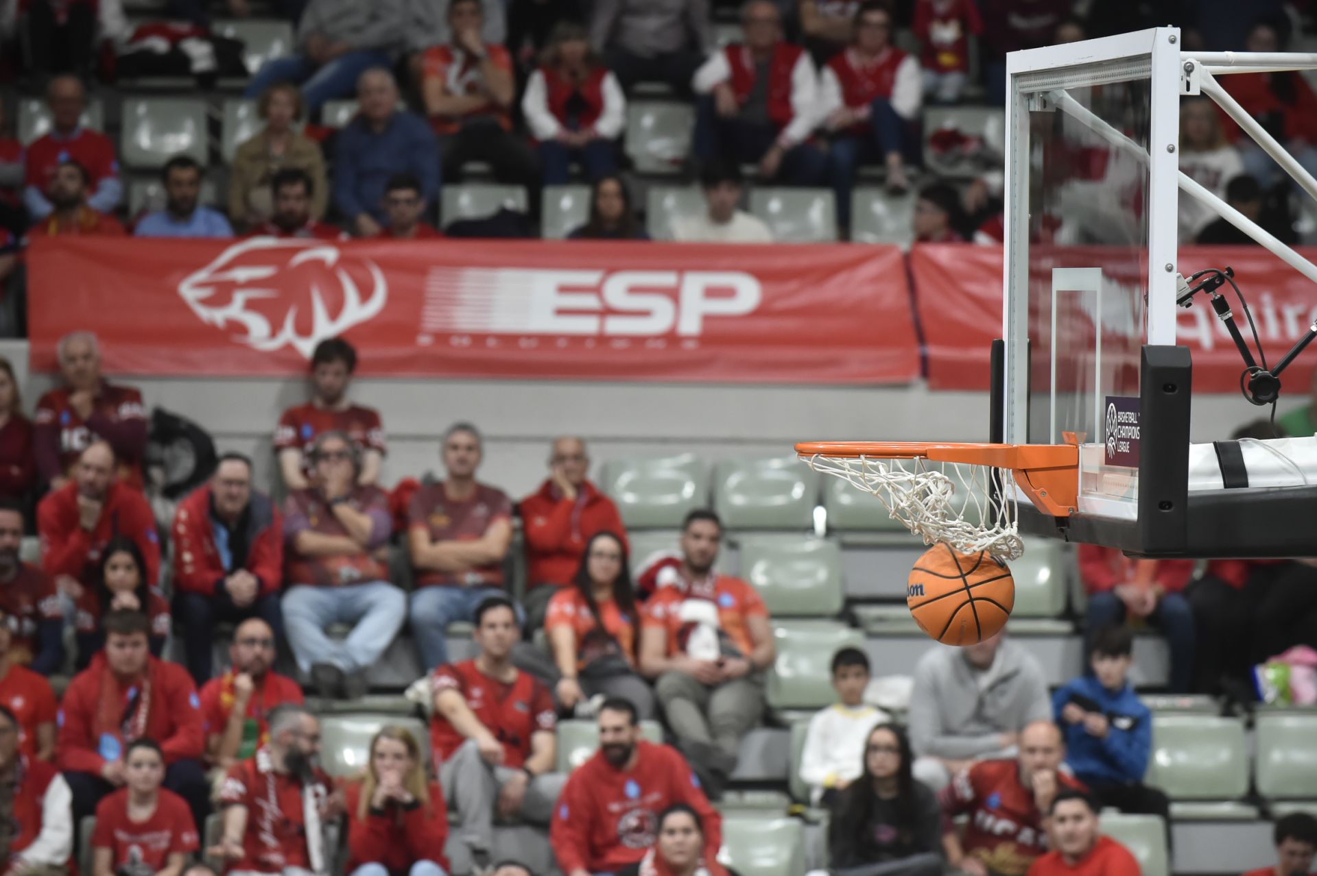 Las imágenes del UCAM Murcia-Falco de Szombathely (85-63)