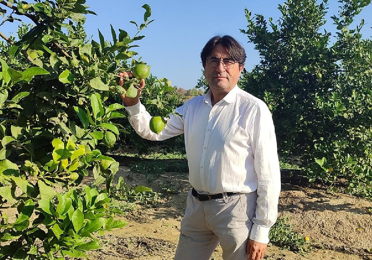 José Vicente Andreu, presidente de Asaja Alicante.