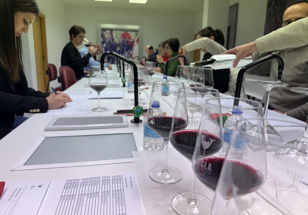 Los vinos de Yecla pasan examen