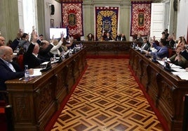 Sesión plenaria del Ayuntamiento de Cartagena, en una imagen de archivo.