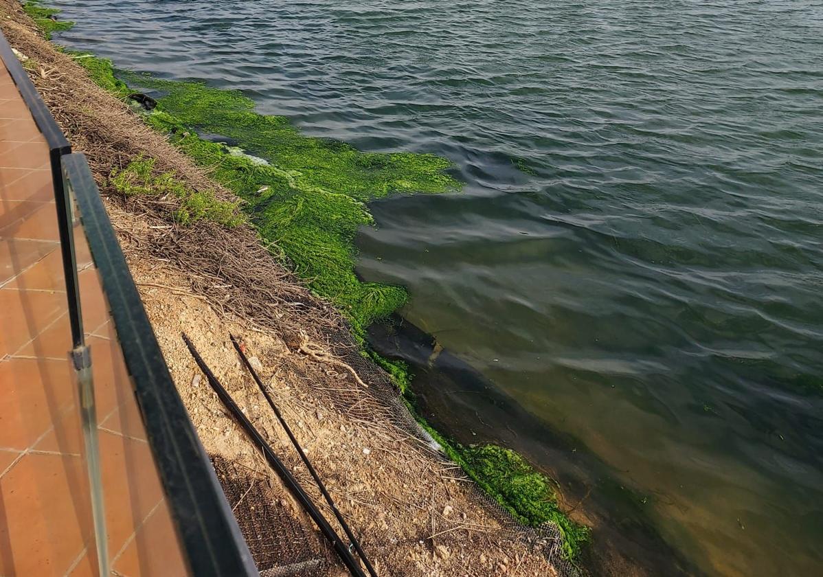 Acuerdo para acometer la limpieza del lago ornamental de Condado de Alhama