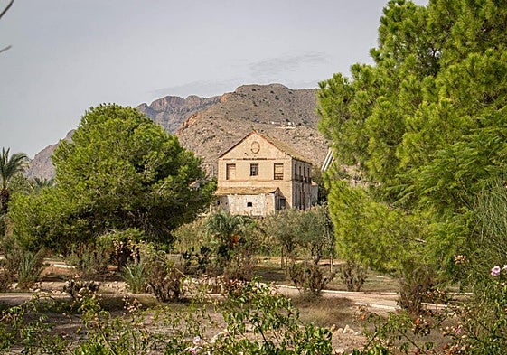 Soto del molino de la ciudad donde hay proyectadas actuaciones de recuperación ambiental, en una fotografía de archivo.