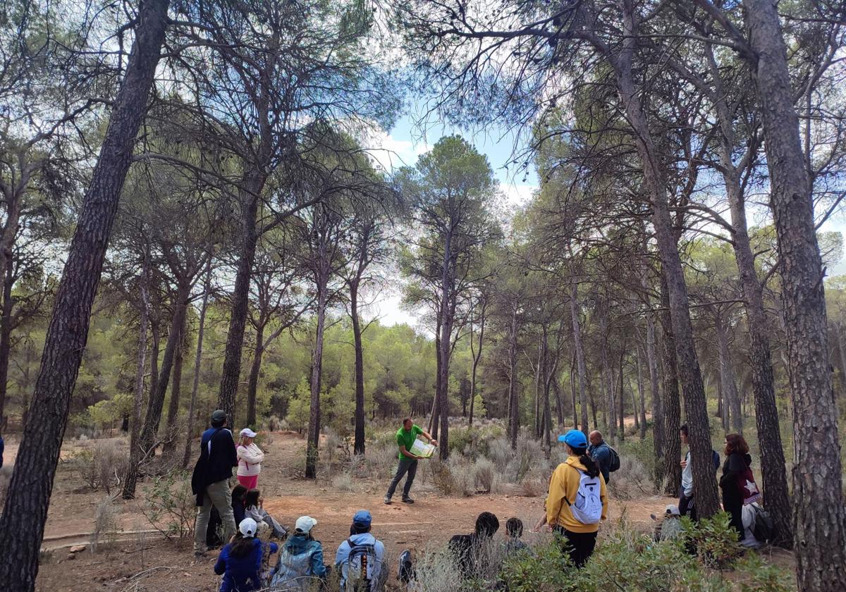 Rutas de naturaleza y literatura en los parques de El Valle, Sierra Espuña y Calblanque