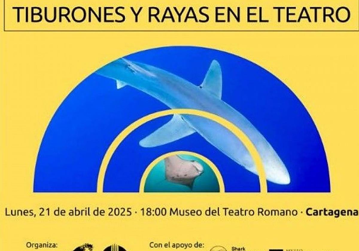 Una jornada con tiburones y rayas en el Teatro Romano de Cartagena