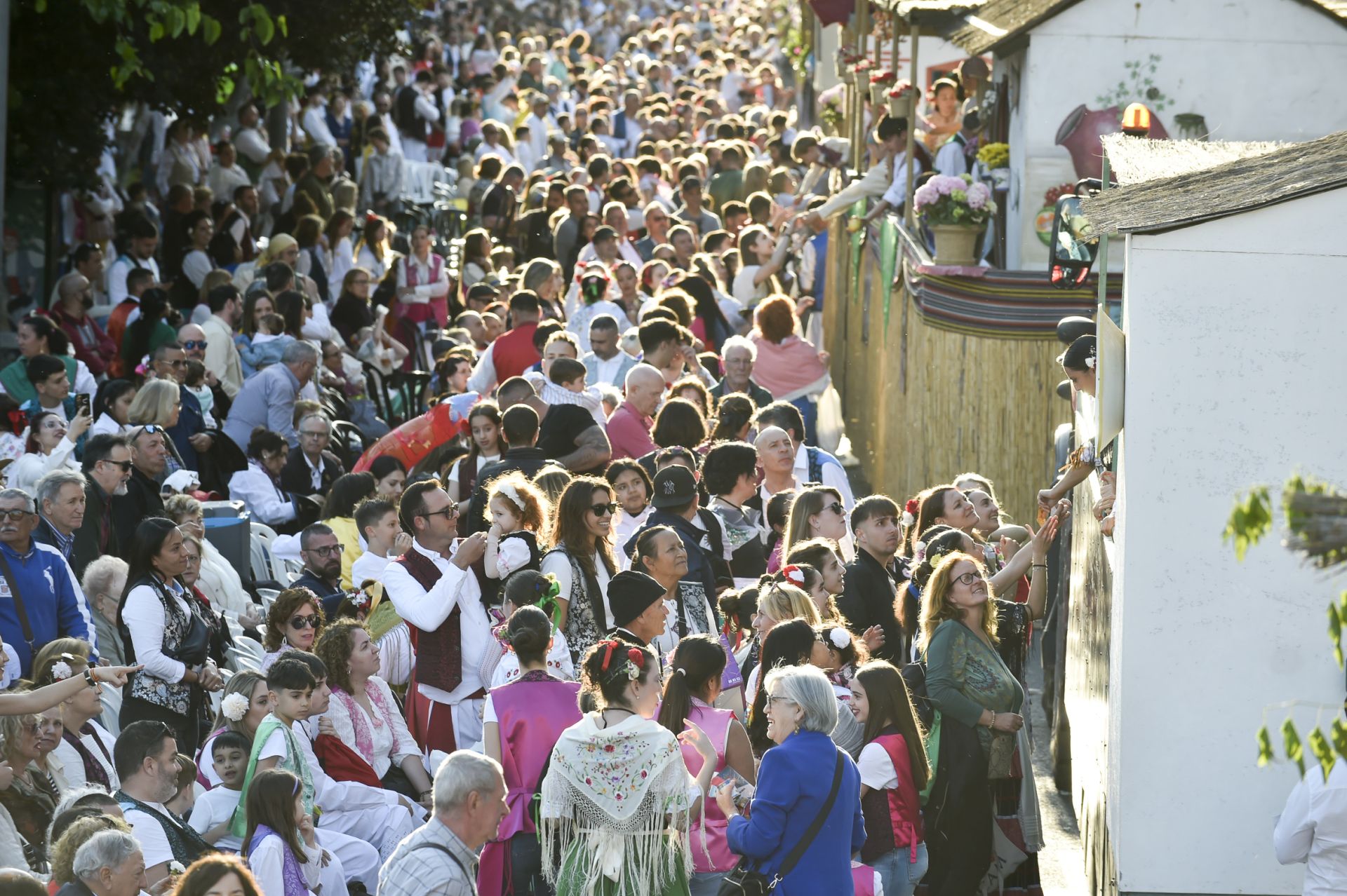 El desfile del Bando de la Huerta de Murcia, en imágenes