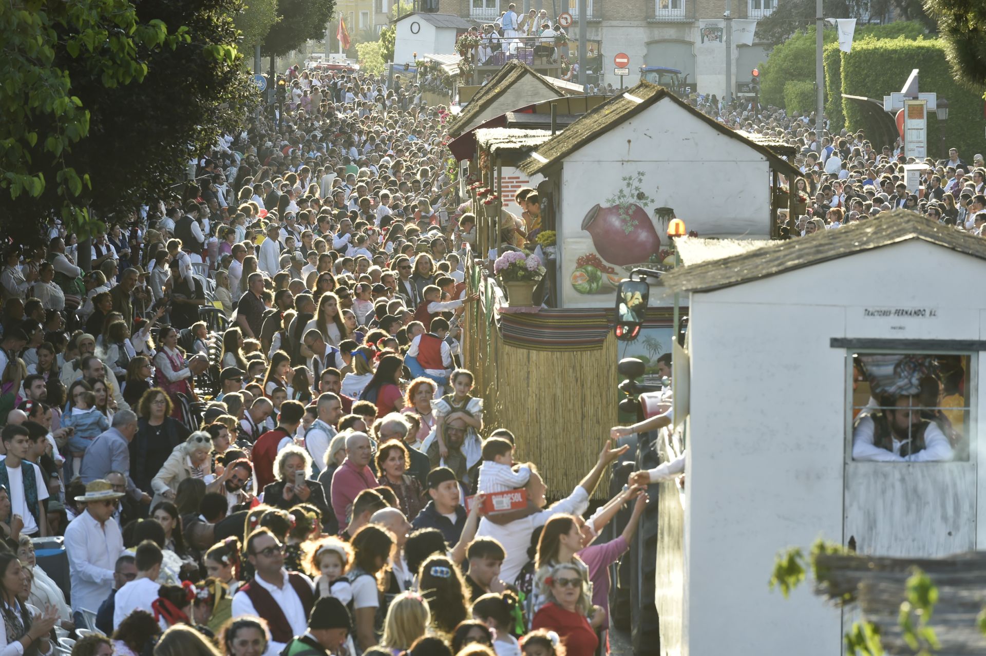 El desfile del Bando de la Huerta de Murcia, en imágenes
