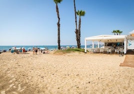 Dos de los diez chiringuitos ofertados en Torrevieja se encuentran en La Mata