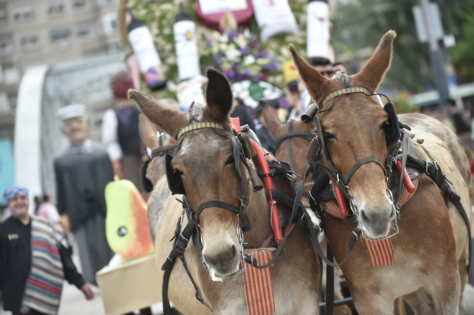El desfile del Bando de la Huerta de Murcia, en imágenes