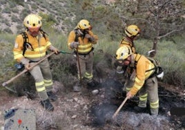 Agentes Medioambientales en el lugar del suceso.