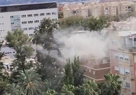 Imagen de la columna de humo sobre el edficio incendiado.