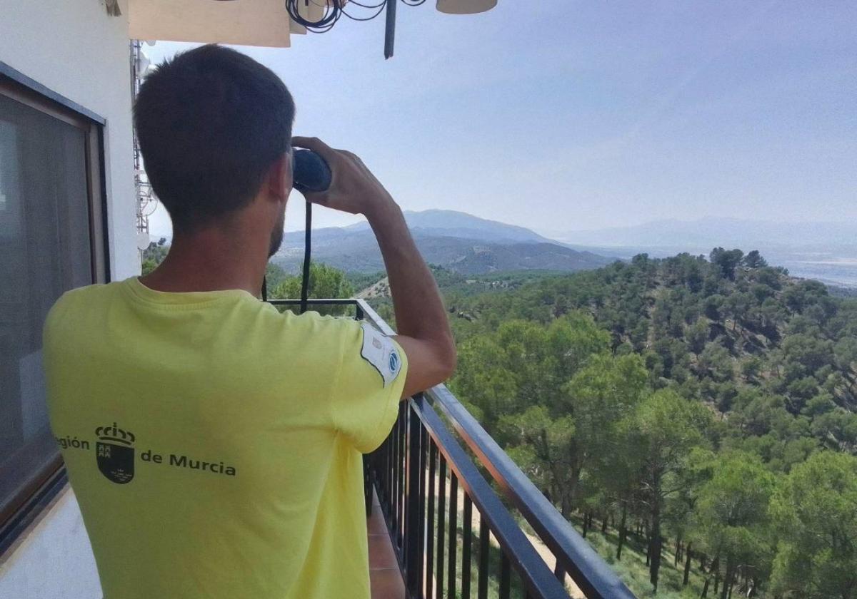 Activada la red de vigilancia fija contra los incendios forestales | la verdad