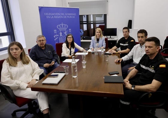 La delegada del Gobierno, Mariola Guevara (al fondo), preside la reunión del gabinete de crisis creado ante el apagón del pasado lunes 28 de abril.