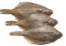 Lenguados