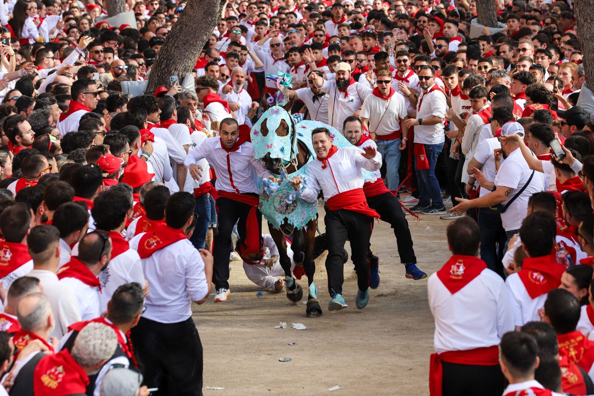 La carrera de los Caballos del Vino 2025, en imágenes