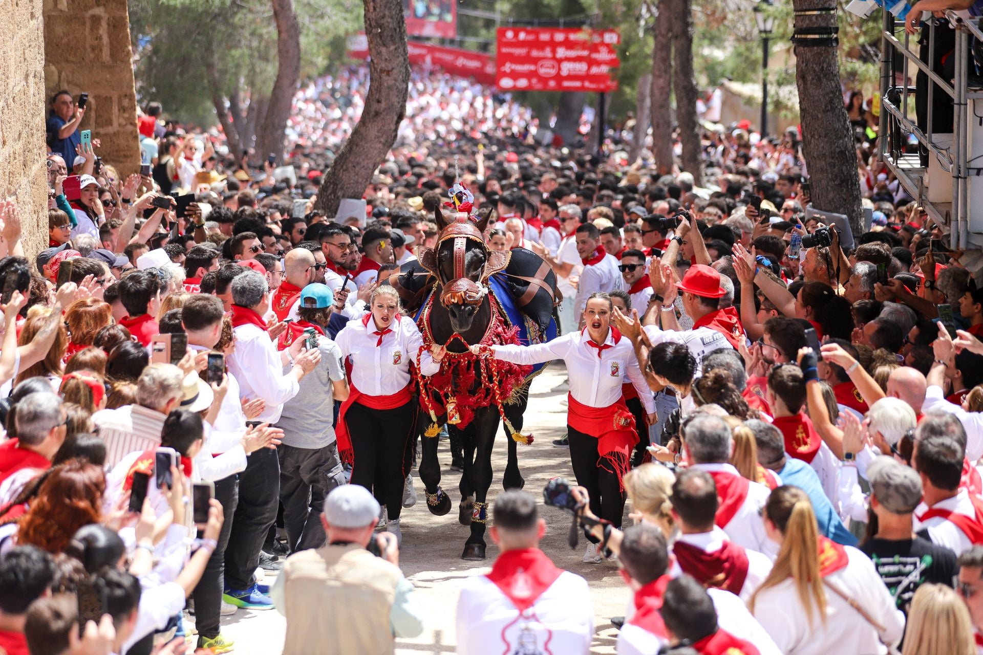 La carrera de los Caballos del Vino 2025, en imágenes