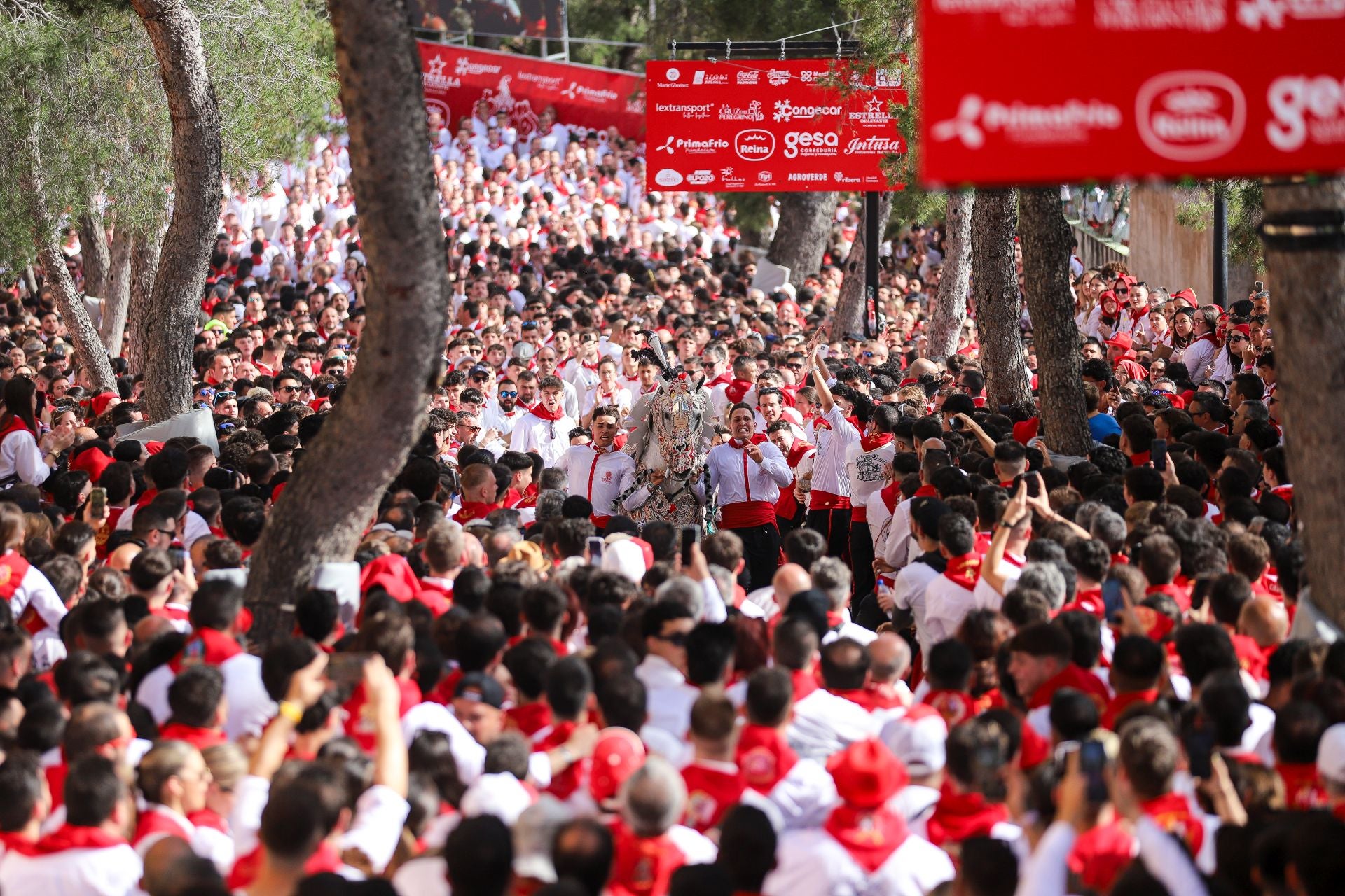La carrera de los Caballos del Vino 2025, en imágenes