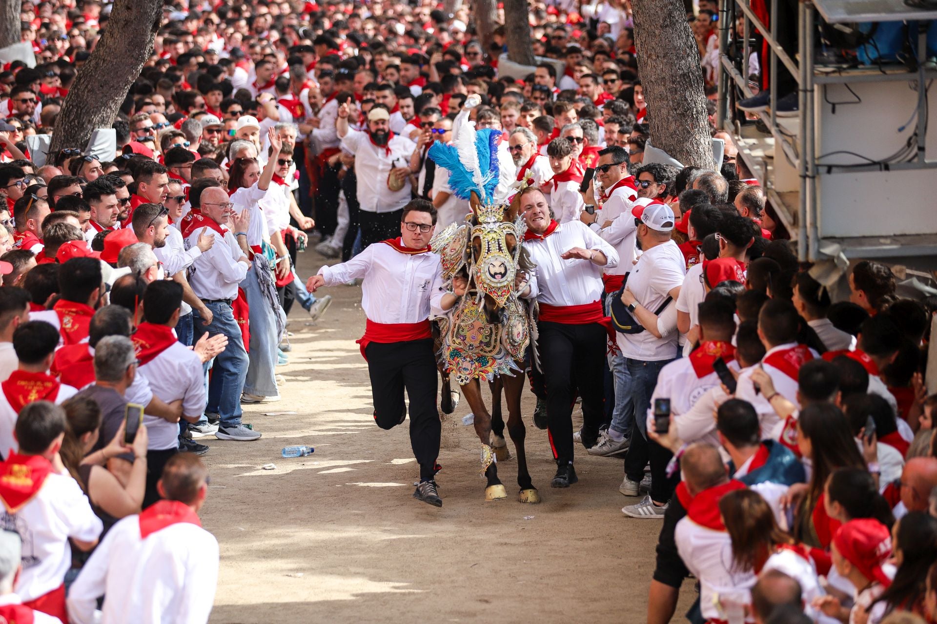 La carrera de los Caballos del Vino 2025, en imágenes