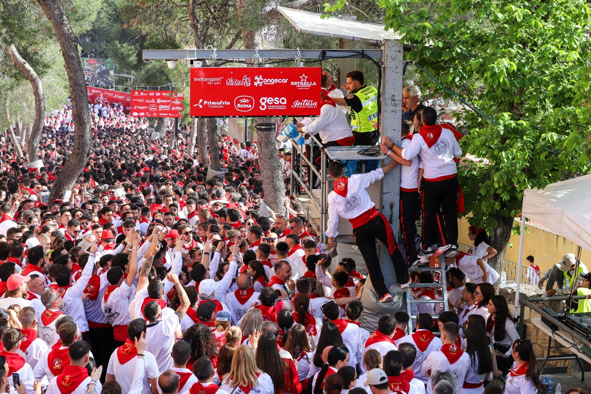 La carrera de los Caballos del Vino 2025, en imágenes