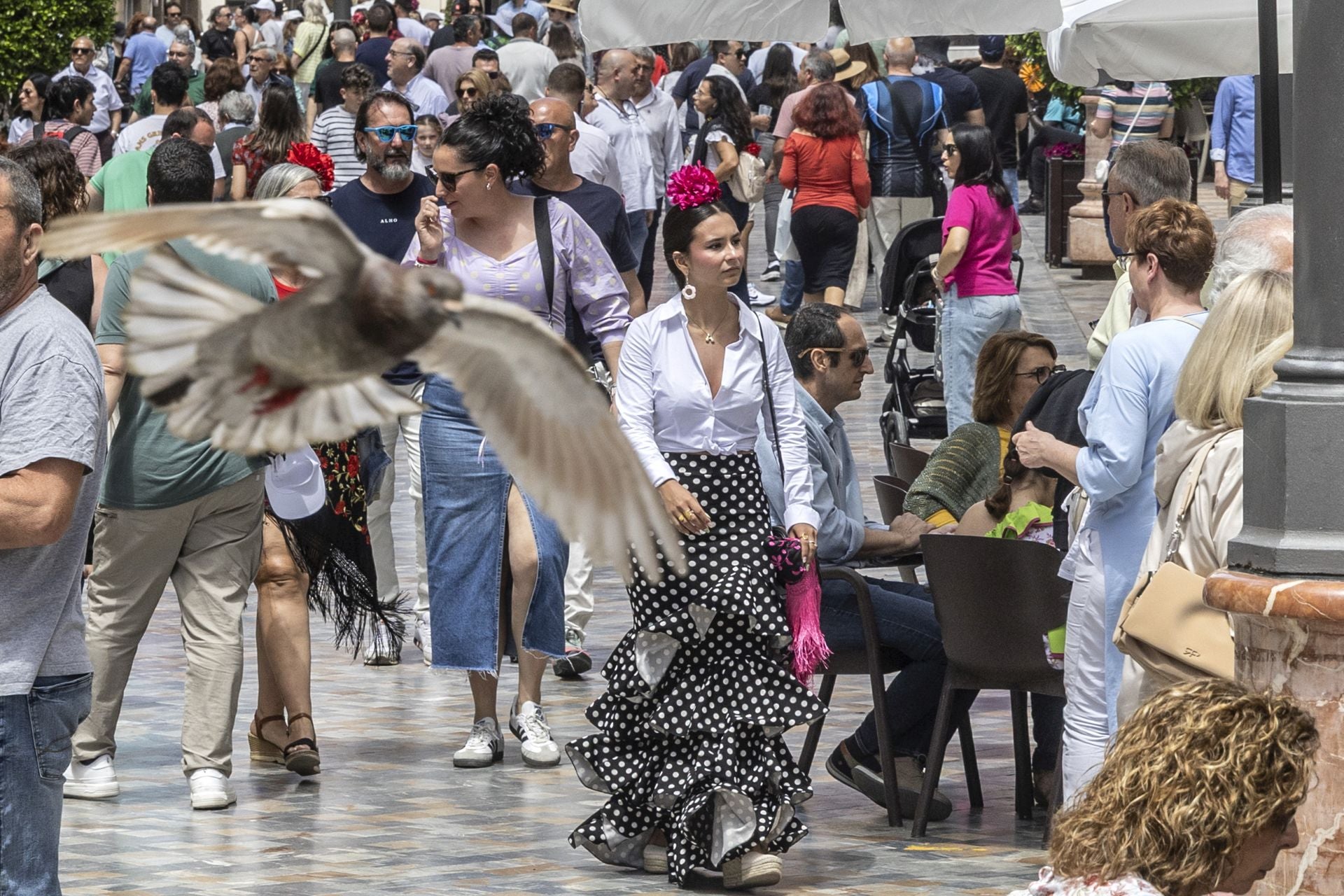 La fiesta de las Cruces de Mayo de Cartagena, en imágenes