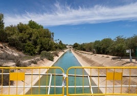 Canal del Trasvase Tajo-Segura, a la altura de Orihuela, en una imagen de archivo.