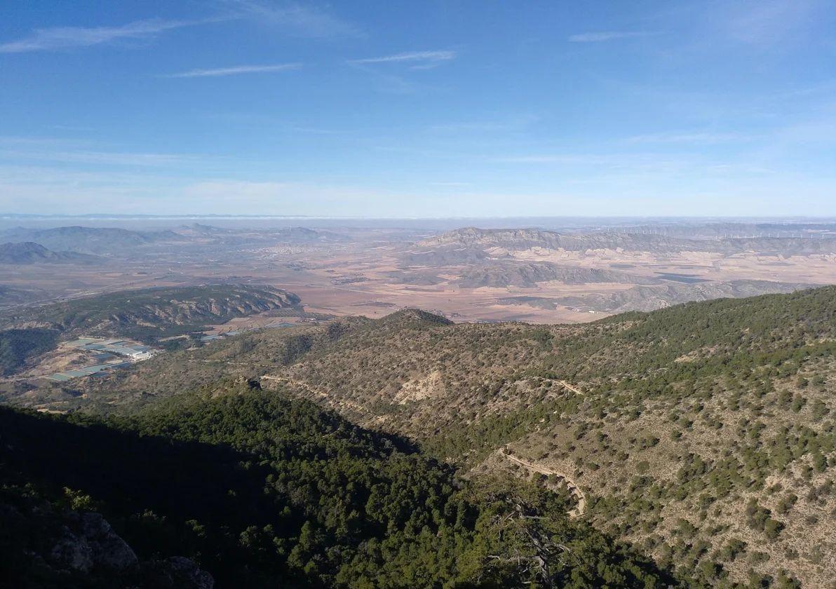 Fototrampeo para estudiar la fauna de la sierra del carche | la verdad
