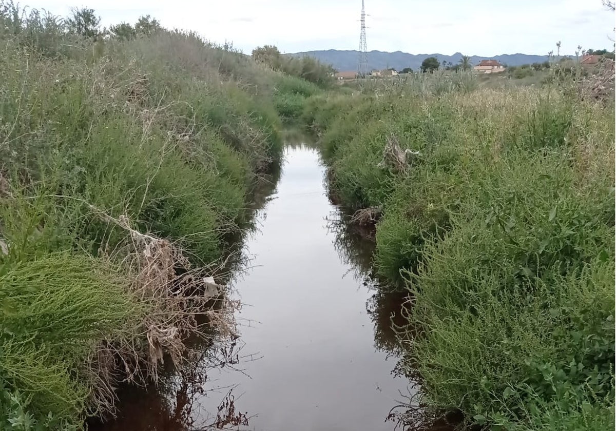 IU alerta sobre el peligro de utilizar para el riego las aguas procedentes del curtido en Lorca