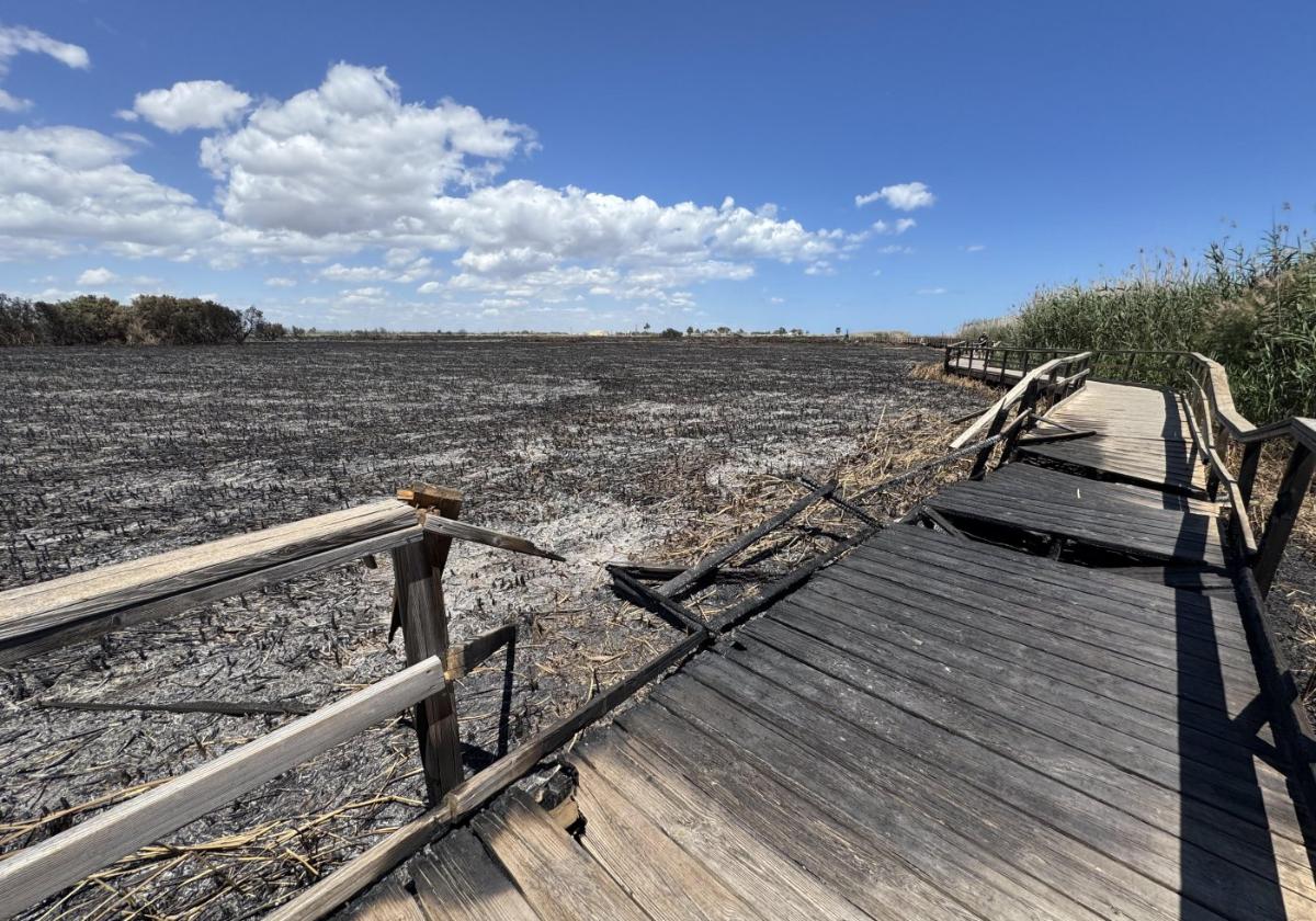 Estado del humedal de La Hita y la pasarela de madera el pasado domingo tras el incendio que devastó casi 22 hectáreas de este espacio protegido junto al Mar Menor.